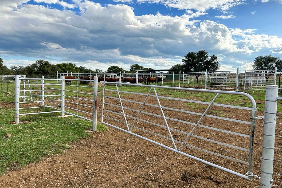 A functional farm yard featuring galvanized steel livestock fencing and gates, providing secure enclosures for cattle in an open rural setting.