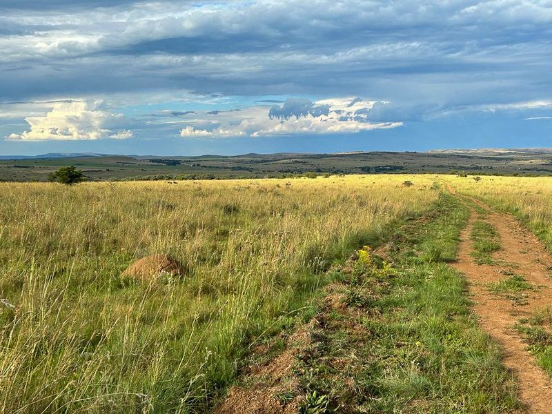 Unique opportunity - off grid and ideal game and cattle farm - Photo 8