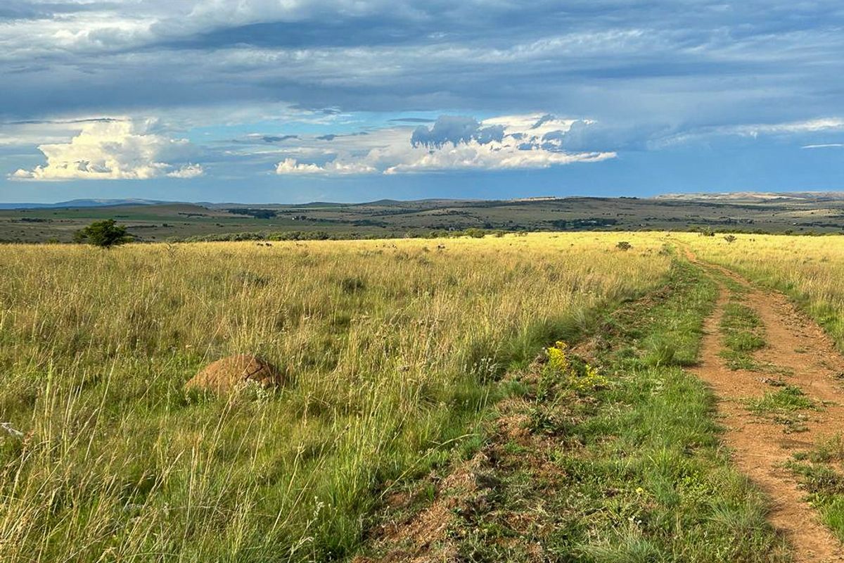 Unique opportunity - off grid and ideal game and cattle farm - Photo 2