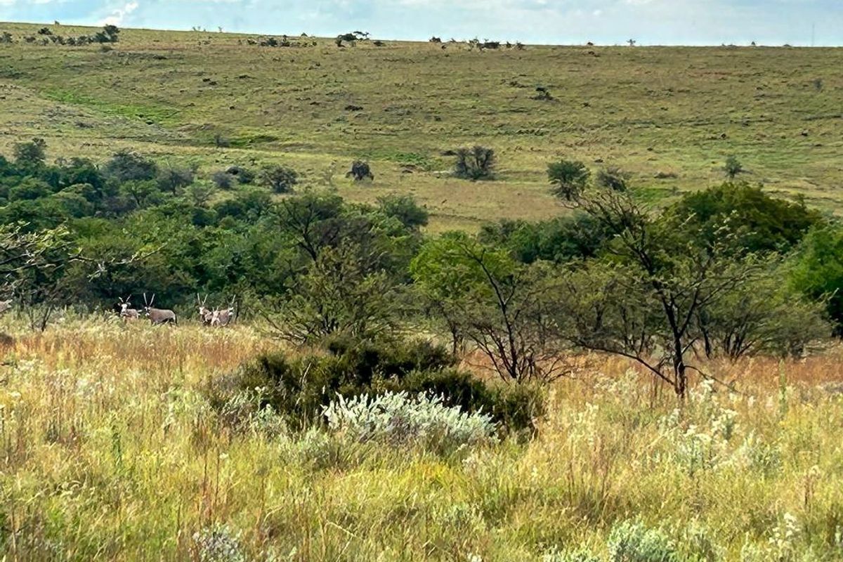 Unique opportunity - off grid and ideal game and cattle farm - Photo 3