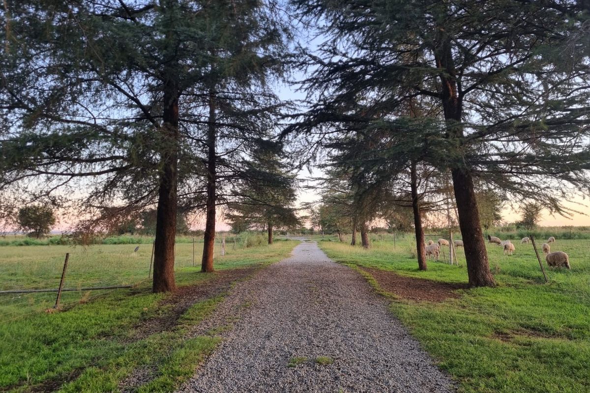 Modern Living Farm! - Photo 2