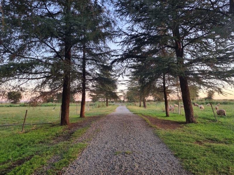 Modern Living Farm! - Photo 2