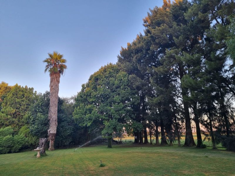 Modern Living Farm! - Photo 3