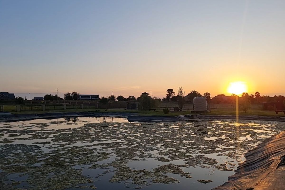 Large Stand in Ailanto Country Estate! - Photo 4