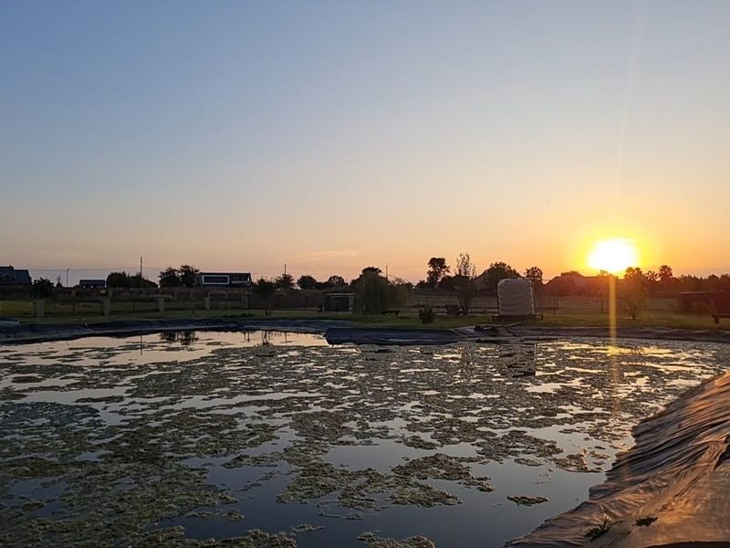 Large Stand in Ailanto Country Estate! - Photo 4