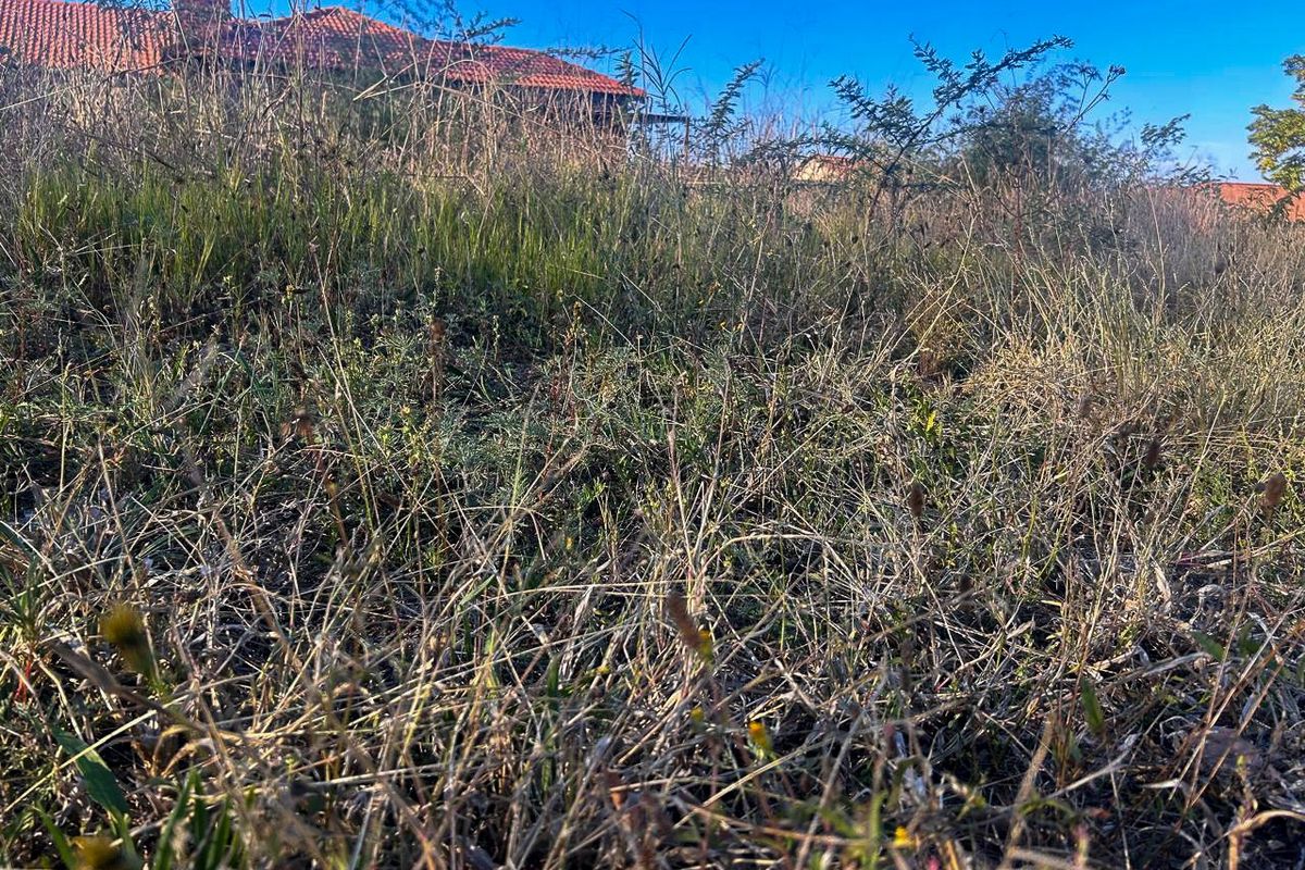 Vacant land in Baillie Park - Photo 2