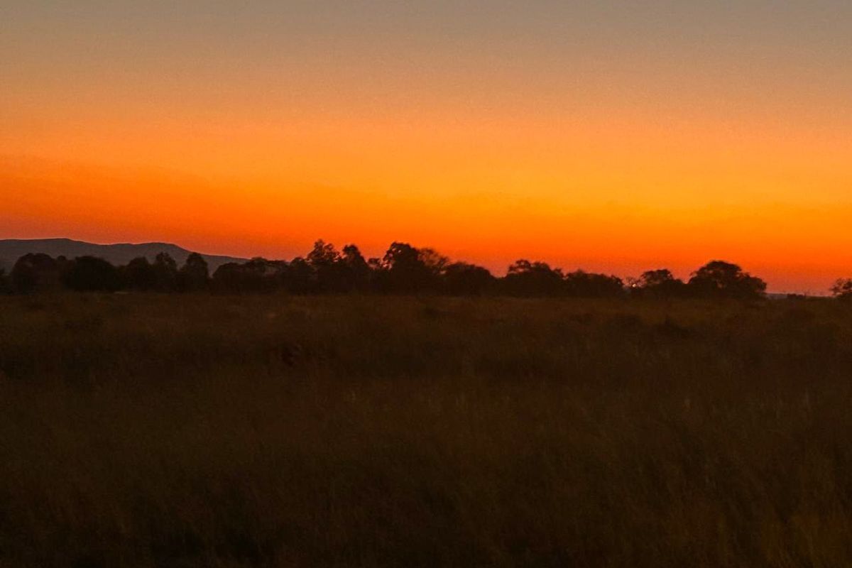 Vacant stand nestled amidst nature - Photo 2
