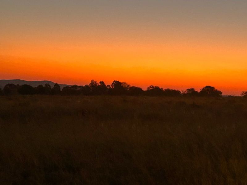 Vacant stand nestled amidst nature - Photo 2