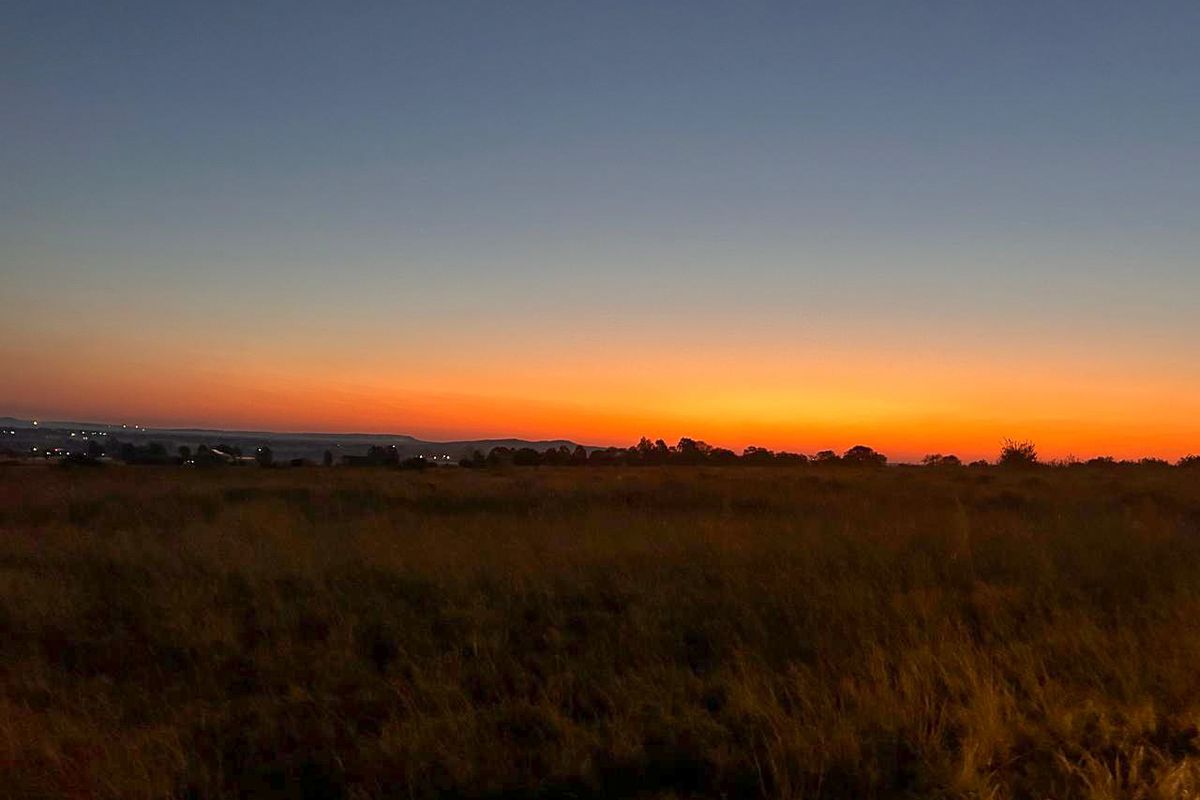 Vacant stand nestled amidst nature - Photo 4