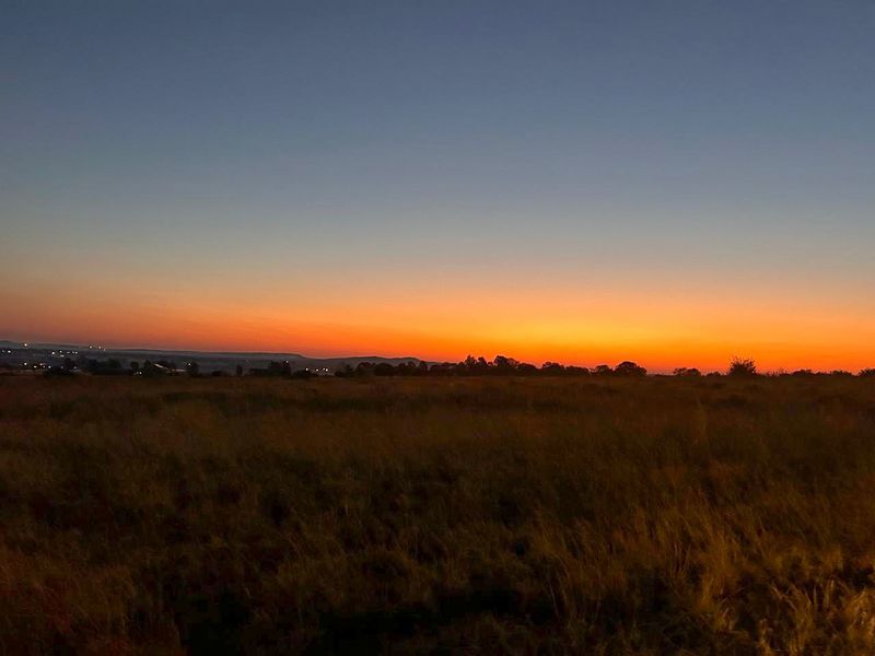 Vacant stand nestled amidst nature - Photo 4