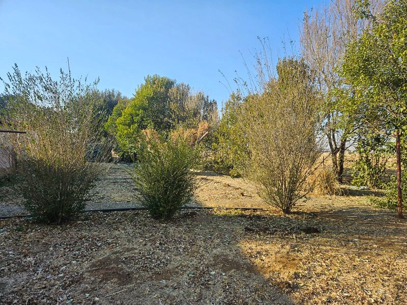 Charming smallholding - Photo 9