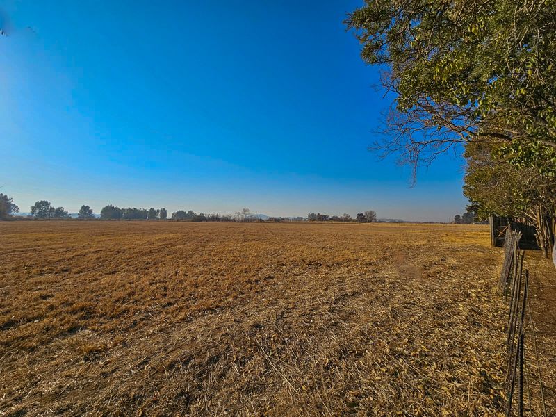Charming smallholding - Photo 9