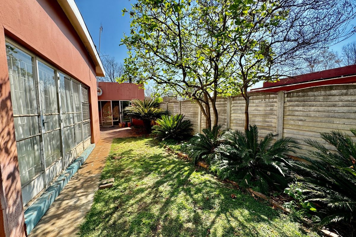 A private rear garden featuring a lawn, established trees, cycad plants, and a precast concrete boundary wall adjacent to the house exterior.