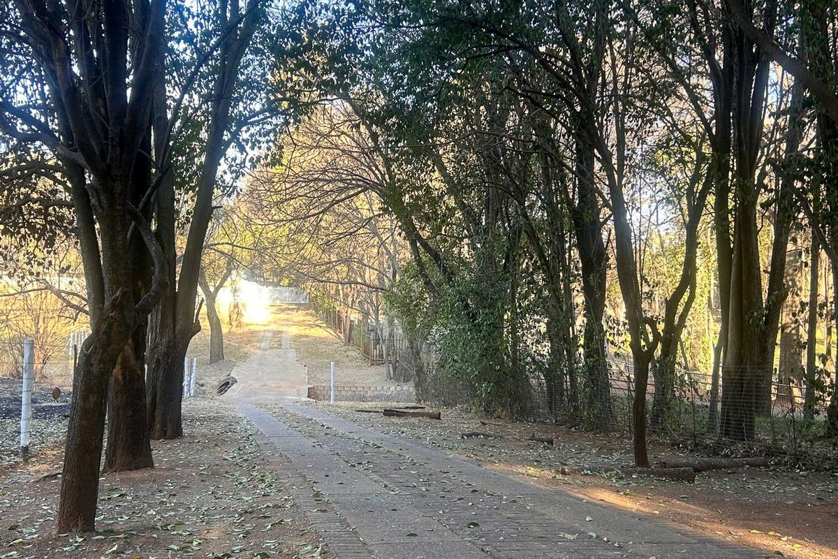 Riverside retreat invites you to embrace a lifestyle of tranquility and natural beauty - Photo 2