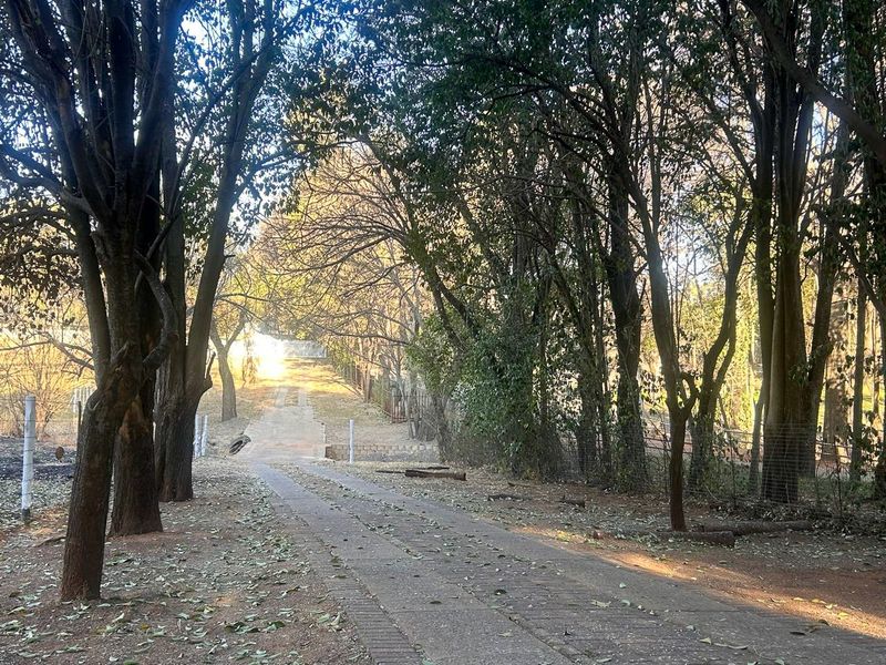 Riverside retreat invites you to embrace a lifestyle of tranquility and natural beauty - Photo 2