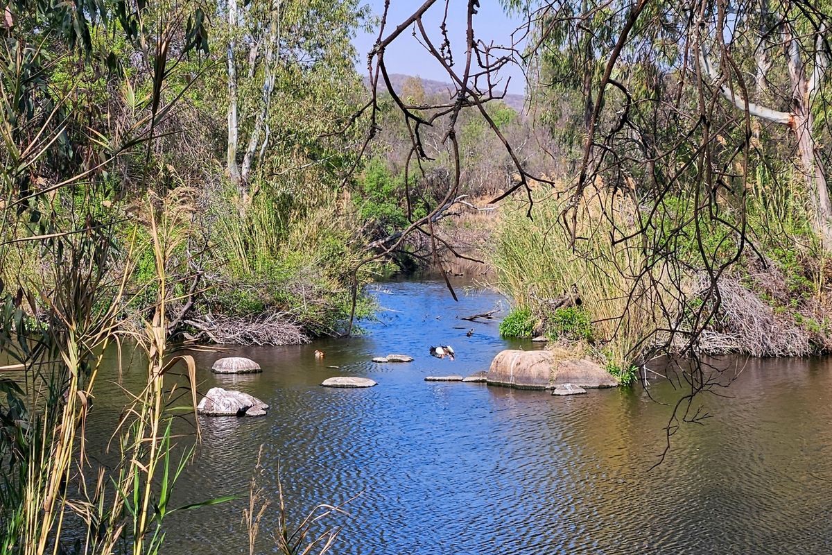 Vacant land tucked away along the Vaal River - Photo 2