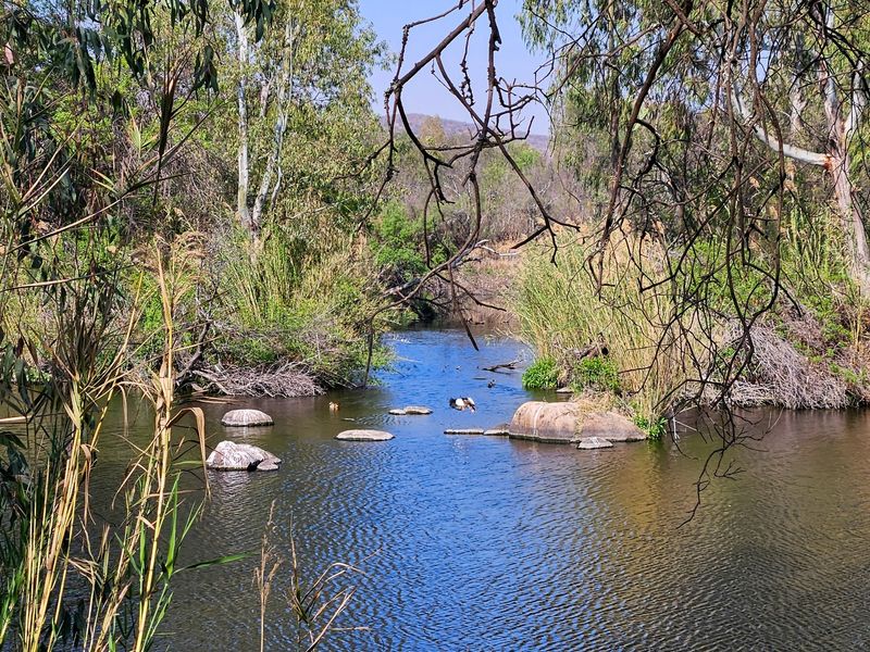 Vacant land tucked away along the Vaal River - Photo 2