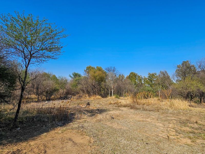 Vacant land tucked away along the Vaal River - Photo 9