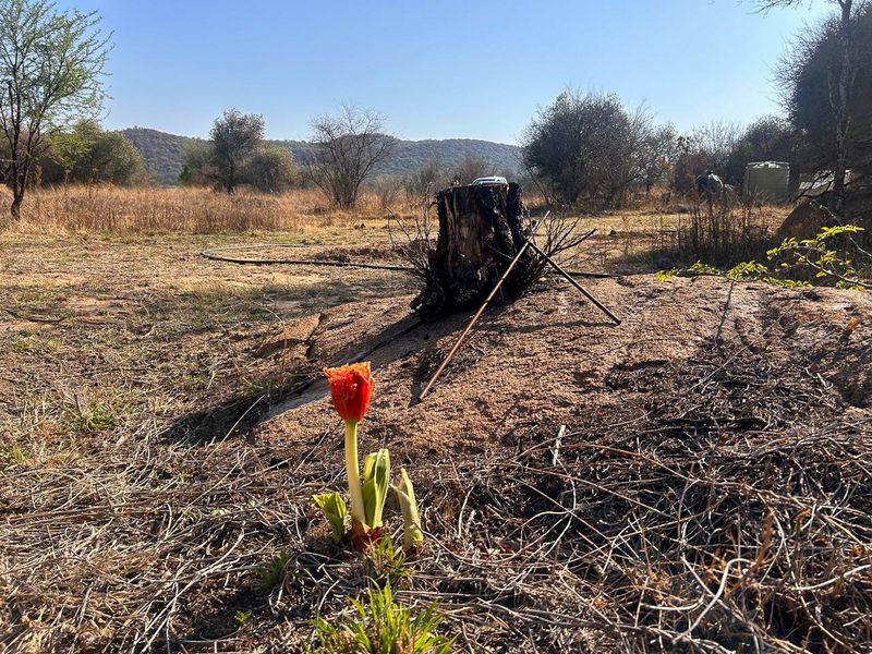 Vacant land tucked away along the Vaal River - Photo 7