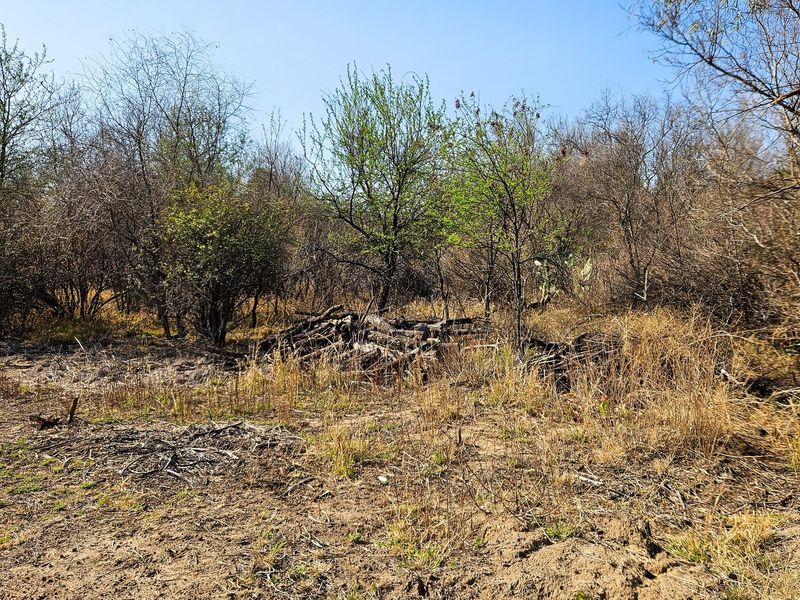 Vacant land tucked away along the Vaal River - Photo 8