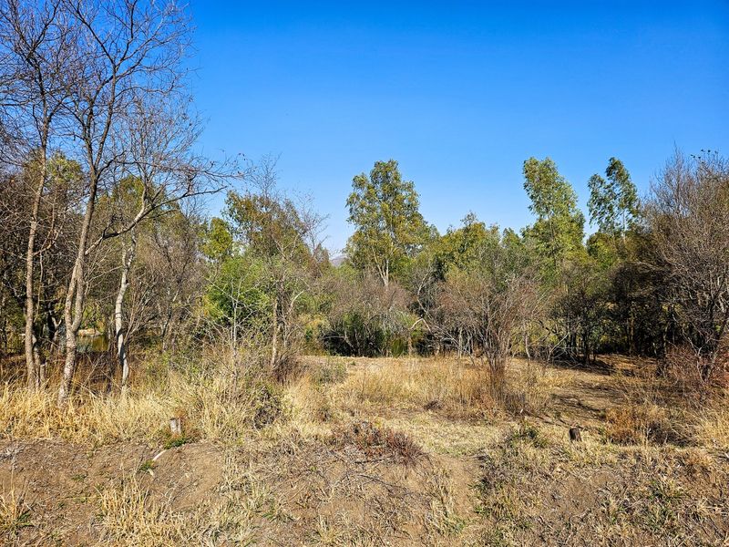 Vacant land tucked away along the Vaal River - Photo 10