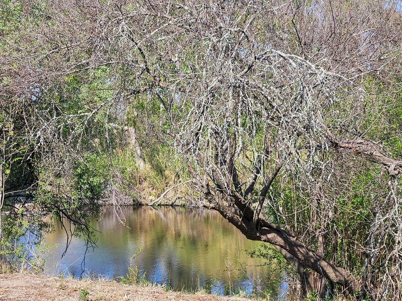 Vacant land tucked away along the Vaal River - Photo 6