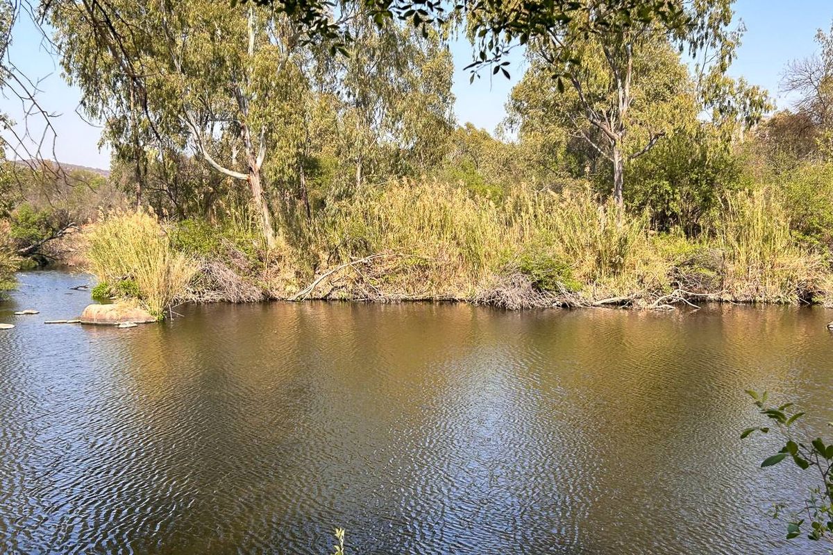 Vacant land tucked away along the Vaal River - Photo 4