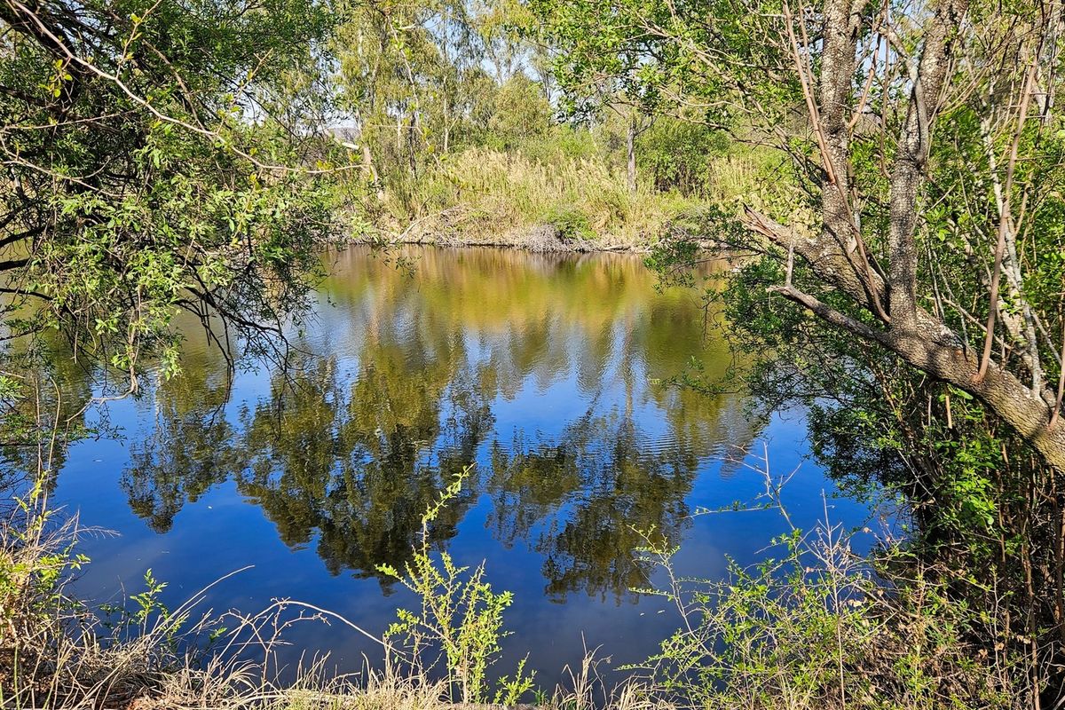 Vacant land tucked away along the Vaal River - Photo 3