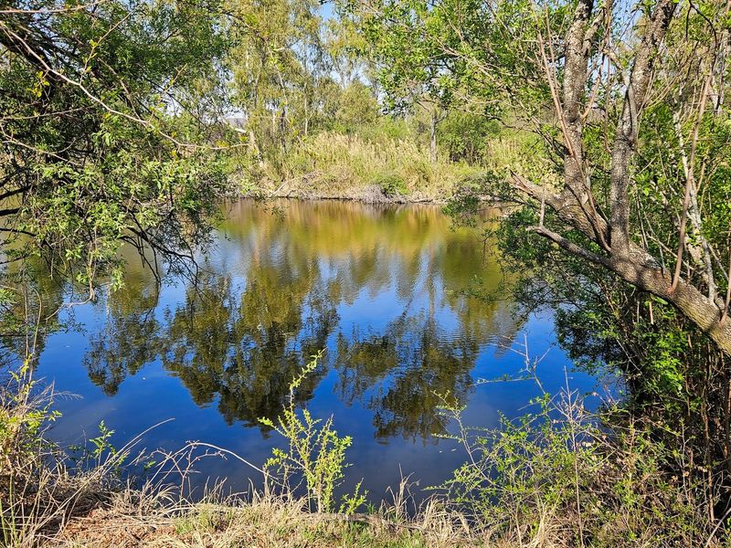 Vacant land tucked away along the Vaal River - Photo 3