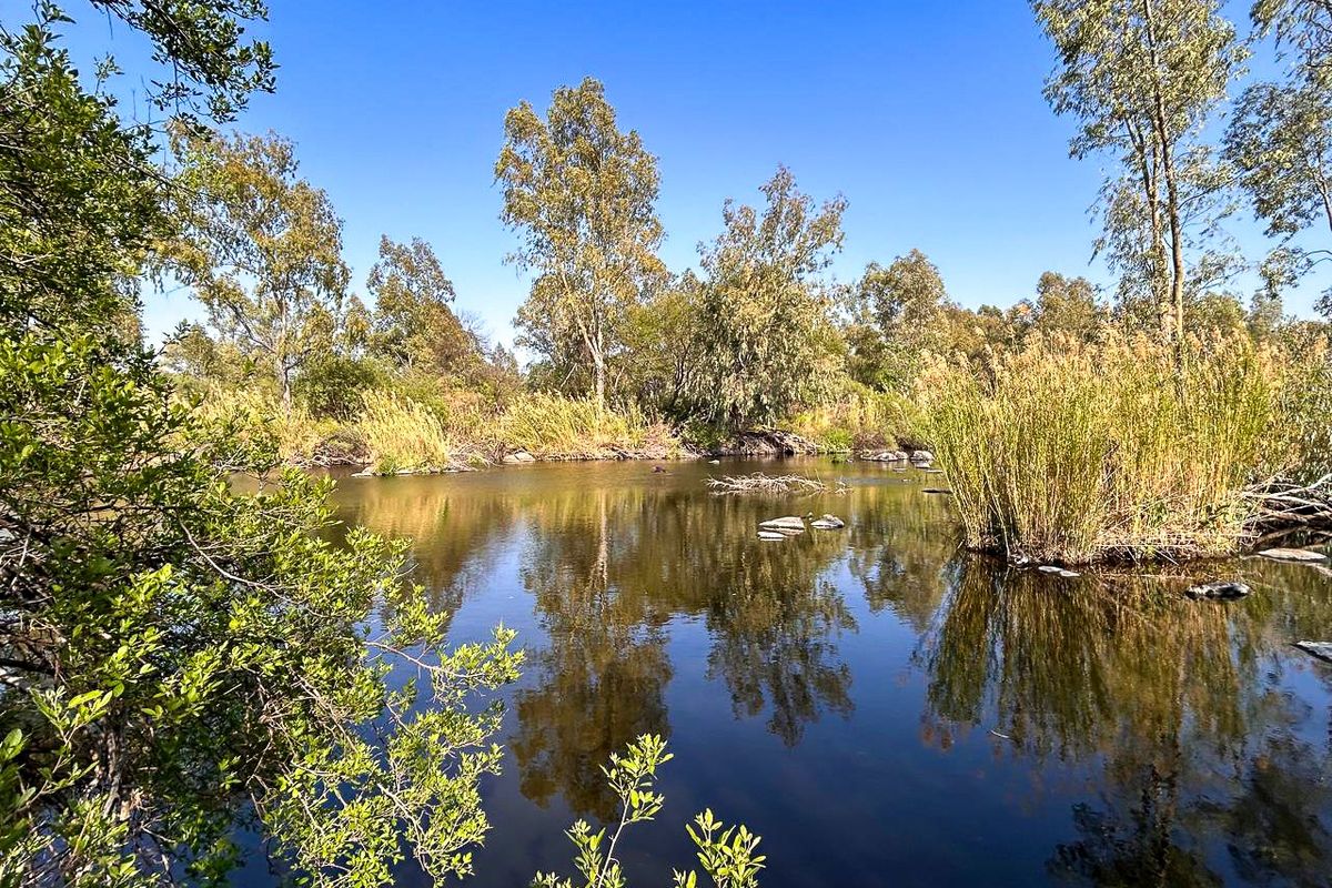 Vacant land tucked away along the Vaal River - Photo 5