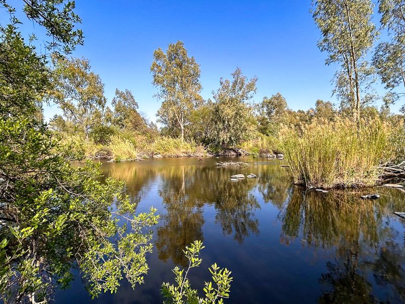 Vacant land tucked away along the Vaal River - Photo 5