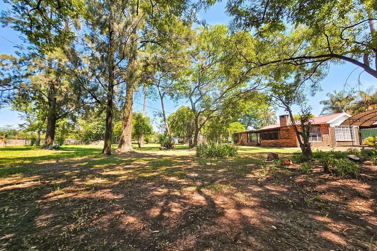 SPACE, OPPURTUNITY, AND EVEN MORE SPACE! - Photo 2