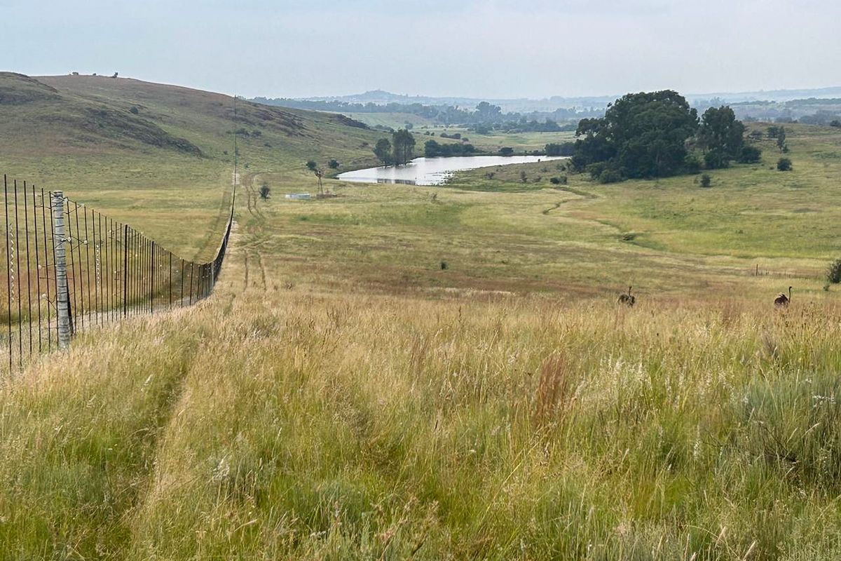 Exceptional 188ha Farm – Ideal for Livestock & Pasture Cultivation - Photo 3
