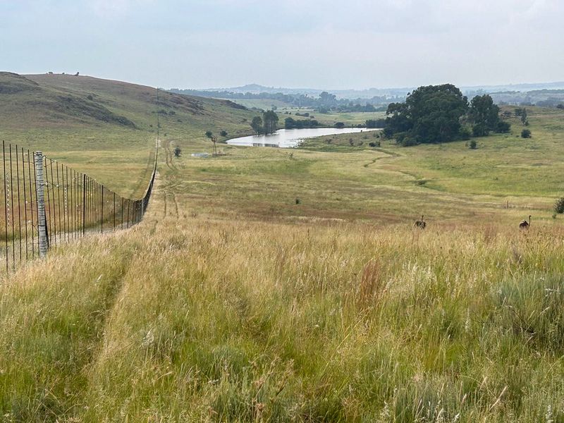 Exceptional 188ha Farm – Ideal for Livestock & Pasture Cultivation - Photo 3