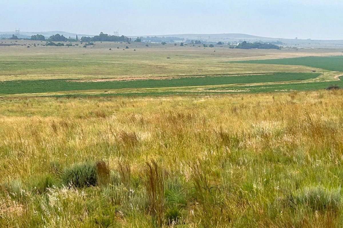 Exceptional 188ha Farm – Ideal for Livestock & Pasture Cultivation - Photo 2