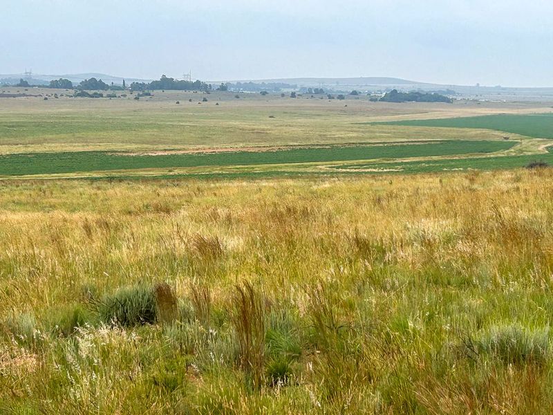 Exceptional 188ha Farm – Ideal for Livestock & Pasture Cultivation - Photo 2