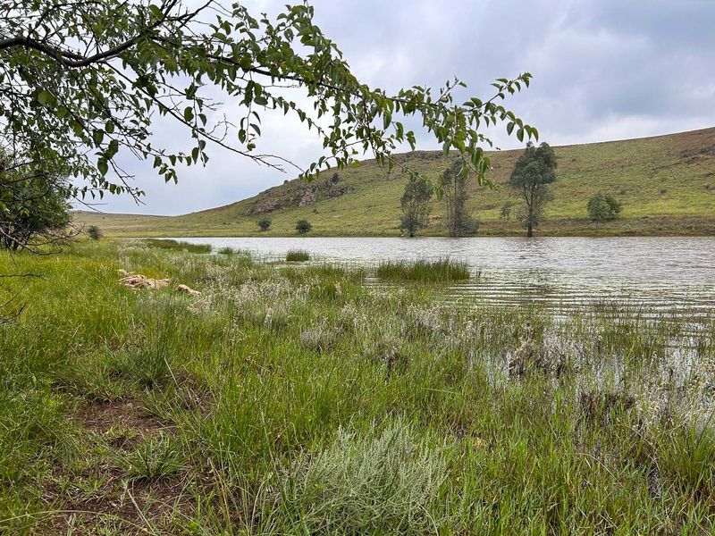 Exceptional 188ha Farm – Ideal for Livestock & Pasture Cultivation - Photo 10