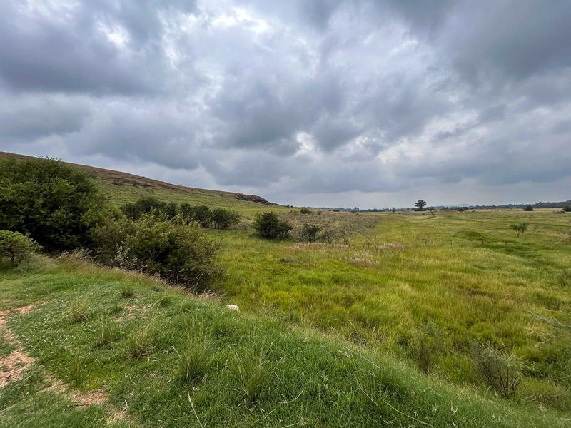 Exceptional 188ha Farm – Ideal for Livestock & Pasture Cultivation - Photo 9