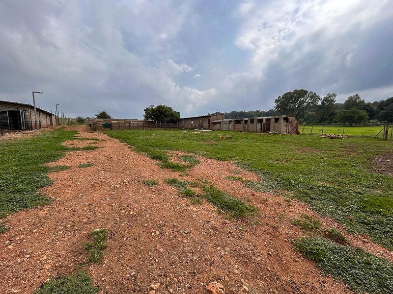 Exceptional 188ha Farm – Ideal for Livestock & Pasture Cultivation - Photo 8