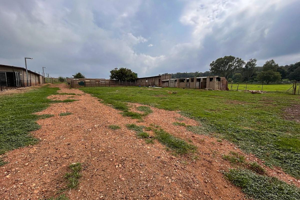 Expansive farm grounds featuring multiple outbuildings, stables, and fenced paddocks, offering significant potential for agricultural or equestrian development.