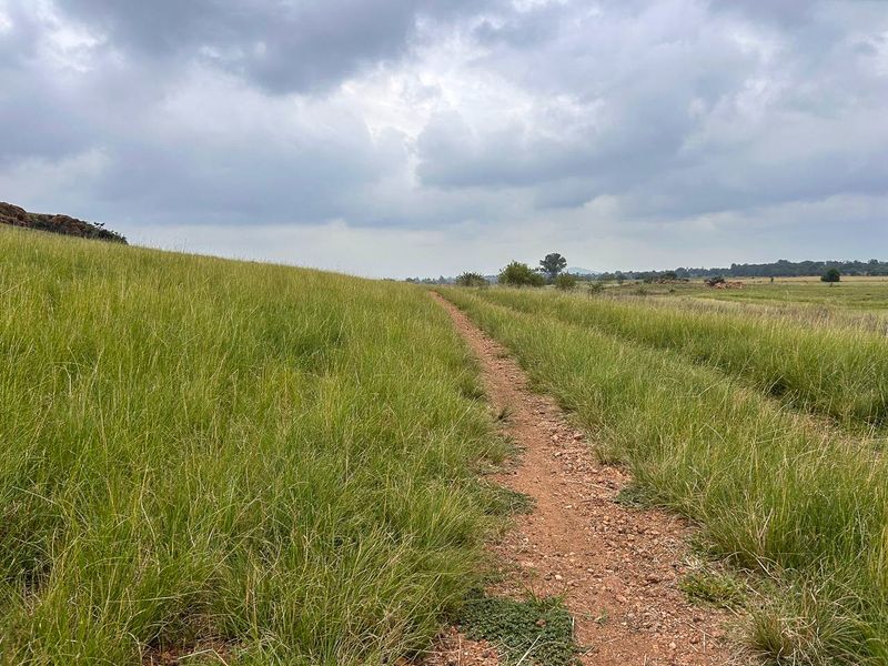 Exceptional 188ha Farm – Ideal for Livestock & Pasture Cultivation - Photo 6