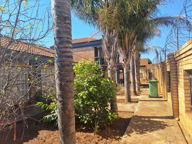 A view of the rear exterior area featuring a brick boundary wall, concrete pathway, and established palm trees.
