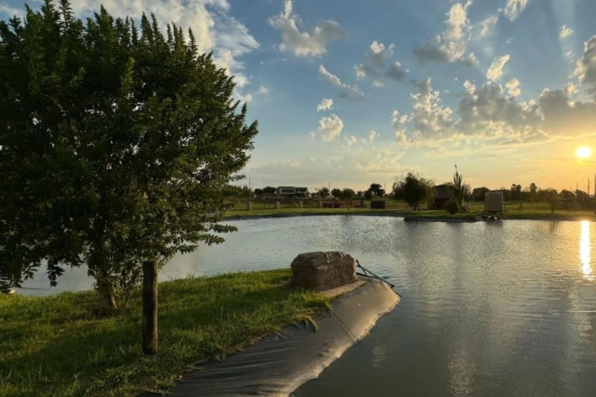 A scenic view of a tranquil man-made pond on the residential property, featuring landscaped grass and a sunset backdrop.