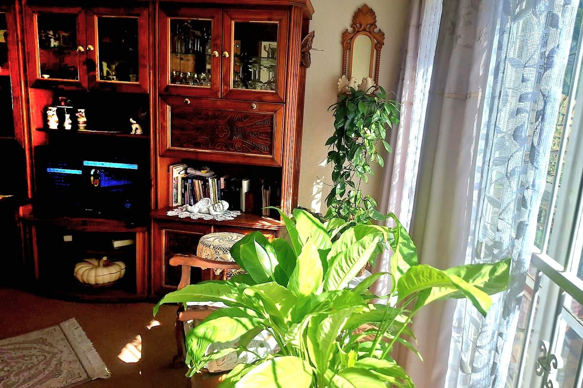 A living room area featuring natural light from a window, currently furnished with a large wooden wall unit.