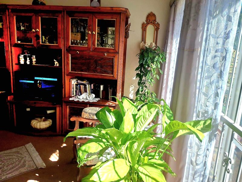 A living room area featuring natural light from a window, currently furnished with a large wooden wall unit.