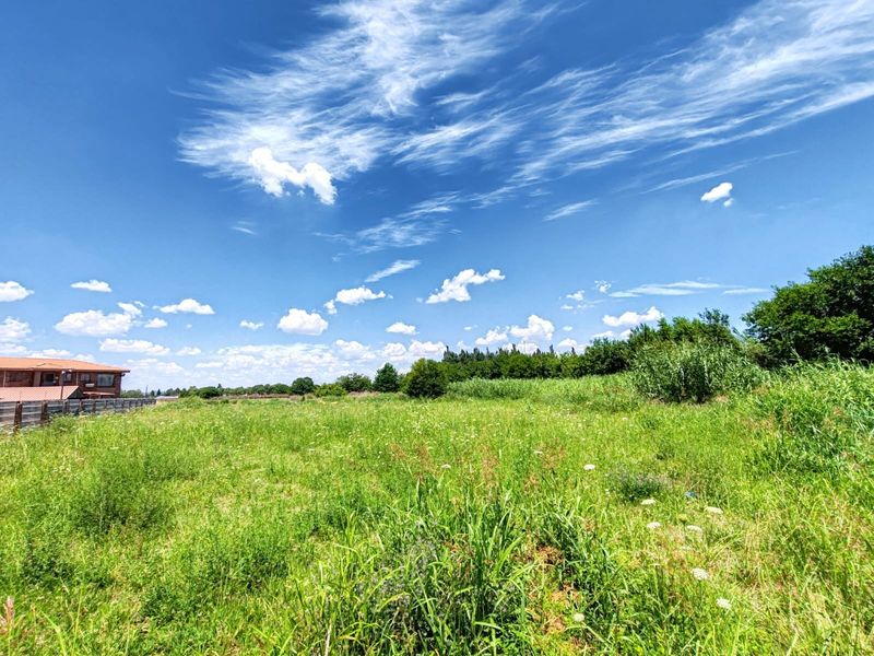 A wide-angle view of a vacant residential plot featuring open grassland and surrounding vegetation under a clear blue sky.