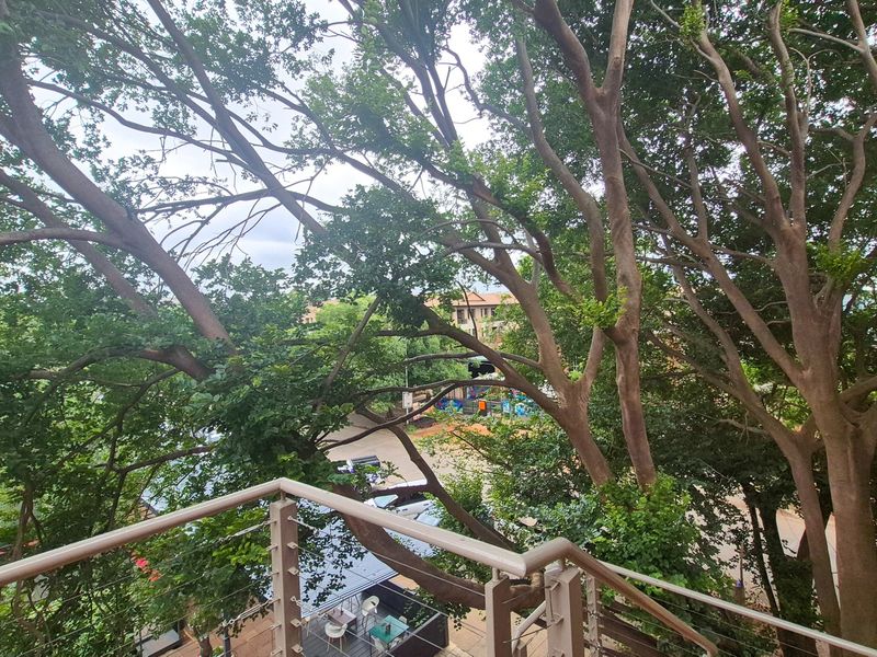 A balcony featuring a modern stainless steel railing, offering a pleasant view of mature trees and the surrounding neighborhood.