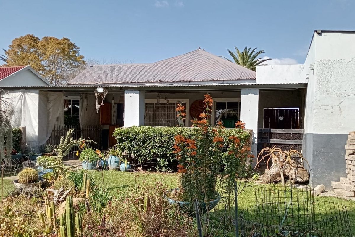Rear view of the property featuring a covered patio area, corrugated metal roofing, and established garden space with security features.