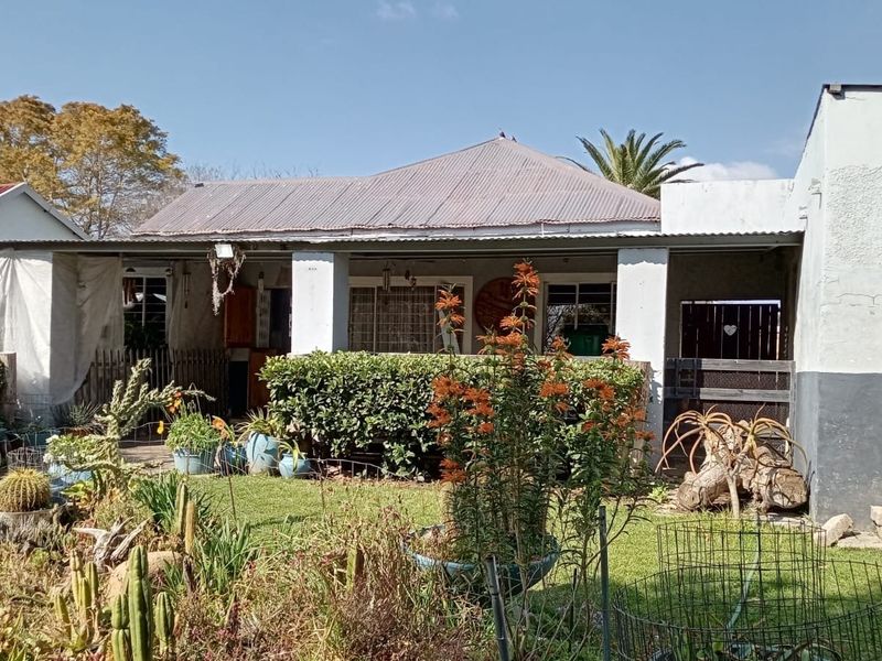 Rear view of the property featuring a covered patio area, corrugated metal roofing, and established garden space with security features.