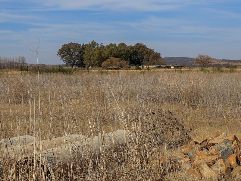 A wide-angle view of the open veld landscape on the small holding, featuring natural vegetation and perimeter fencing.